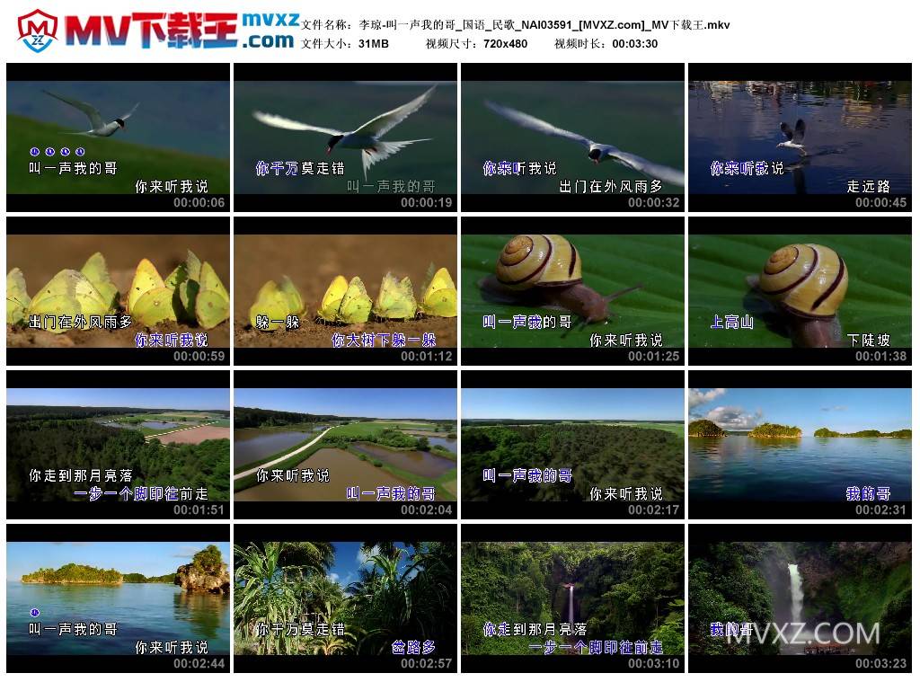 李琼-叫一声我的哥_国语_民歌_NAI03591